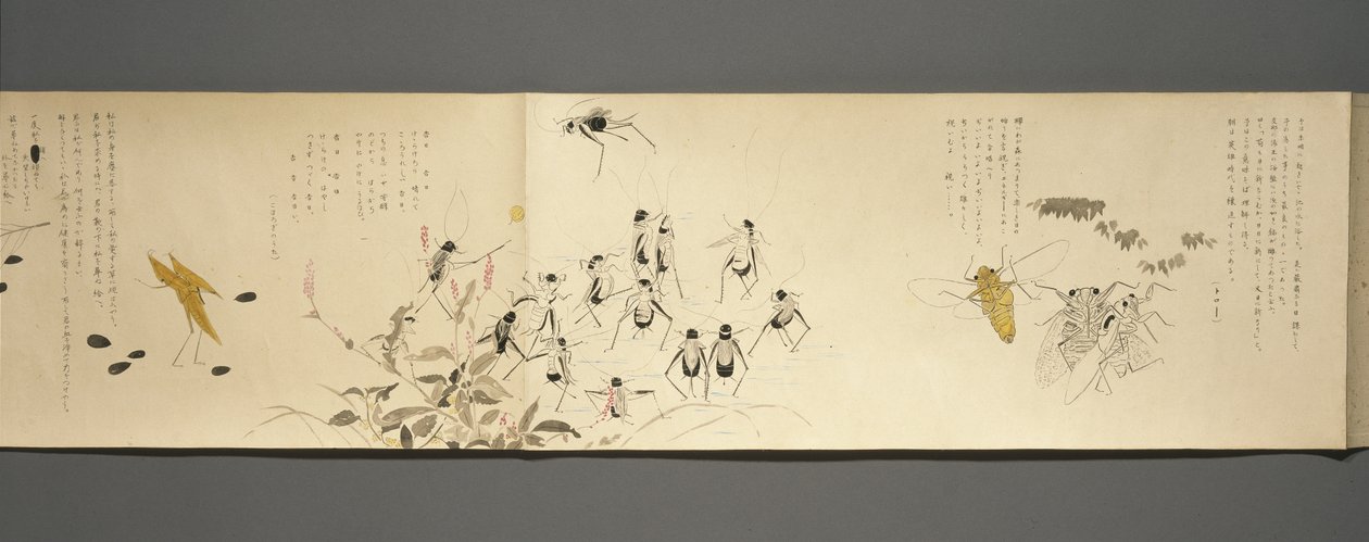 Amigos dos Animais Selvagens (Yasei no Tomo), Taisho, Taisho 7º Ano, c.1918 (tinta & wc em papel tufado decorado com mica) de Ryoka Kawakami