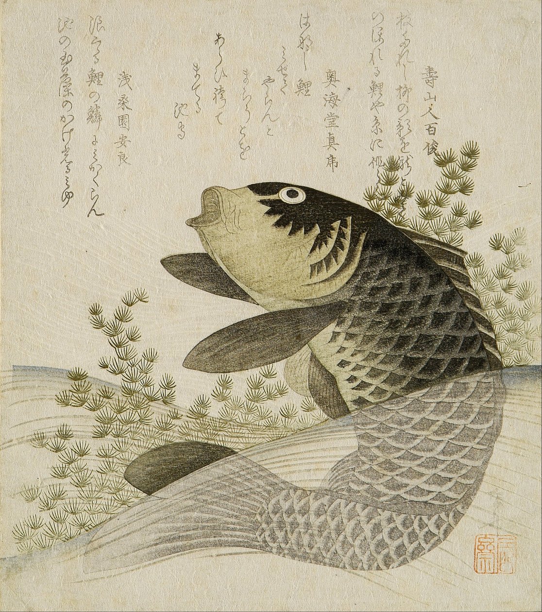 Carpa entre plantas de lagoa de Ryuryukyo Shinsai