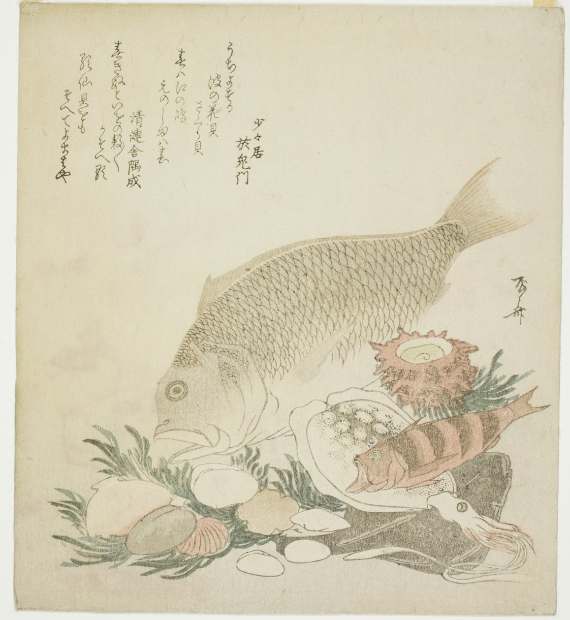 Peixes e conchas de Ryuryukyo Shinsai