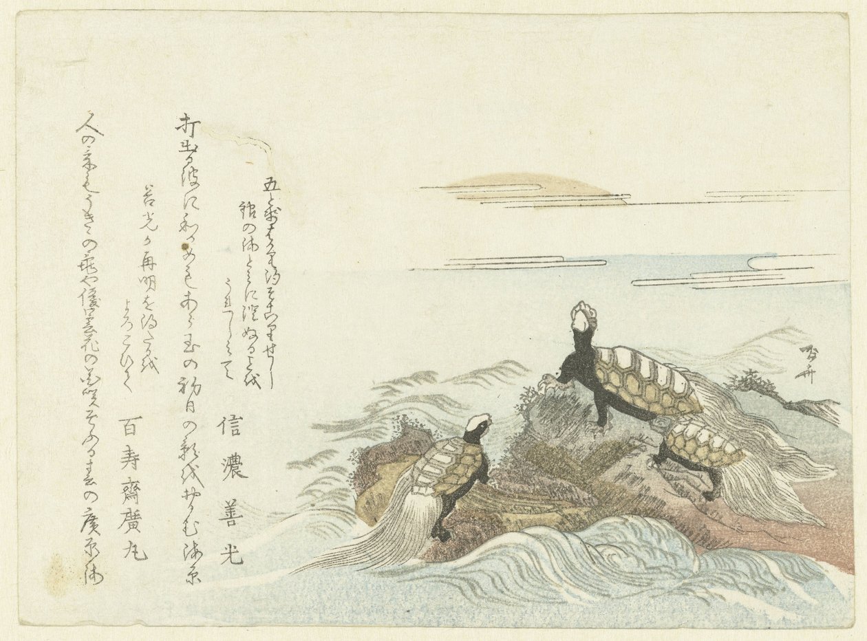 Tartarugas em uma rocha de Ryuryukyo Shinsai