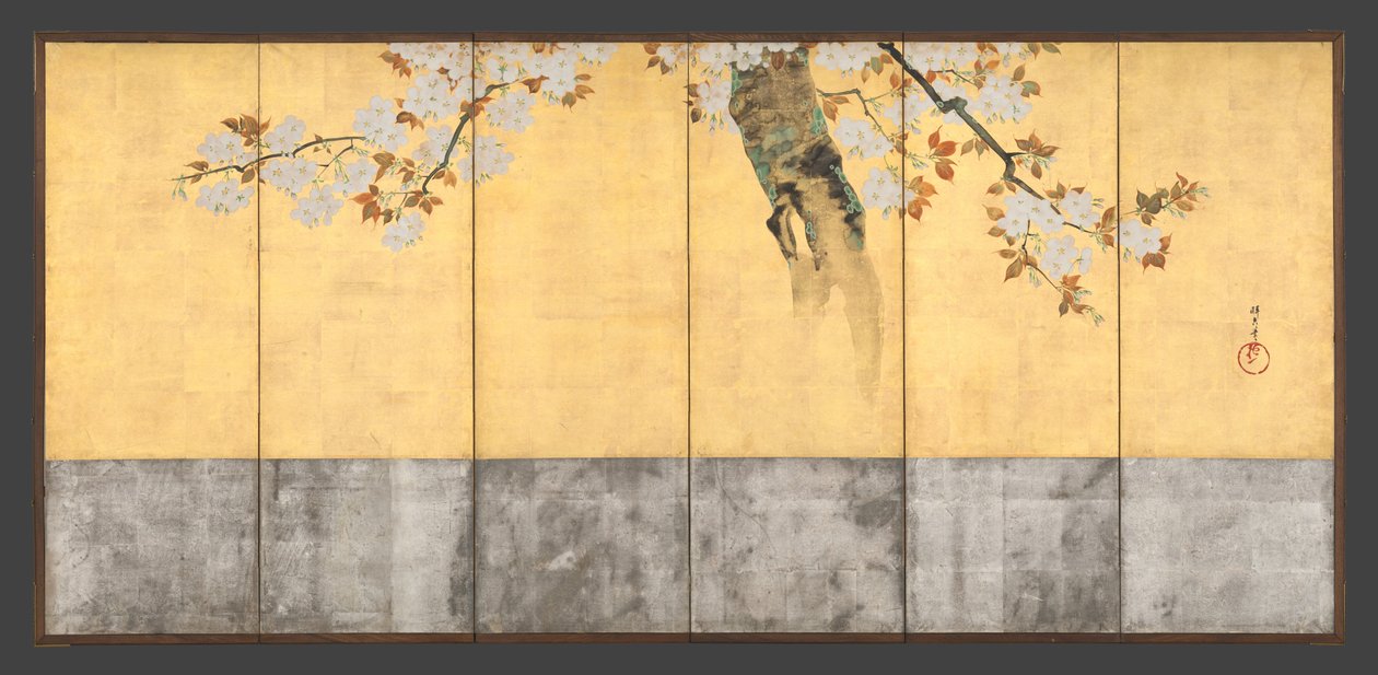 Cerejeiras em flor de Sakai Hoitsu