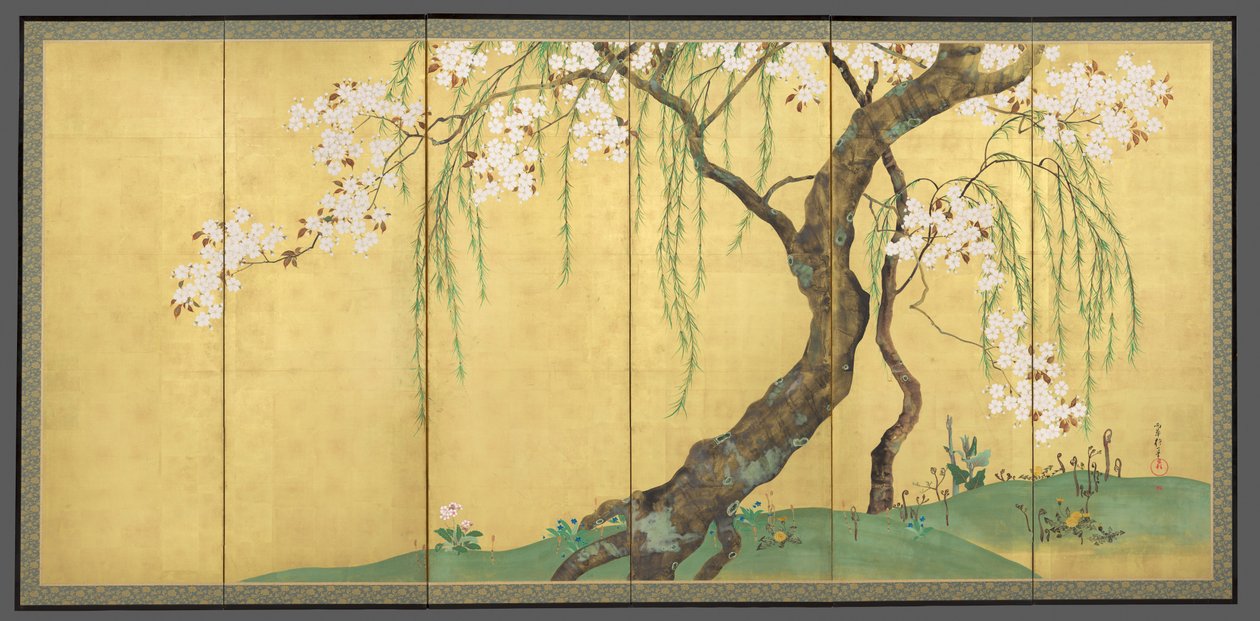 Cerejeiras e bordos de Sakai Hoitsu