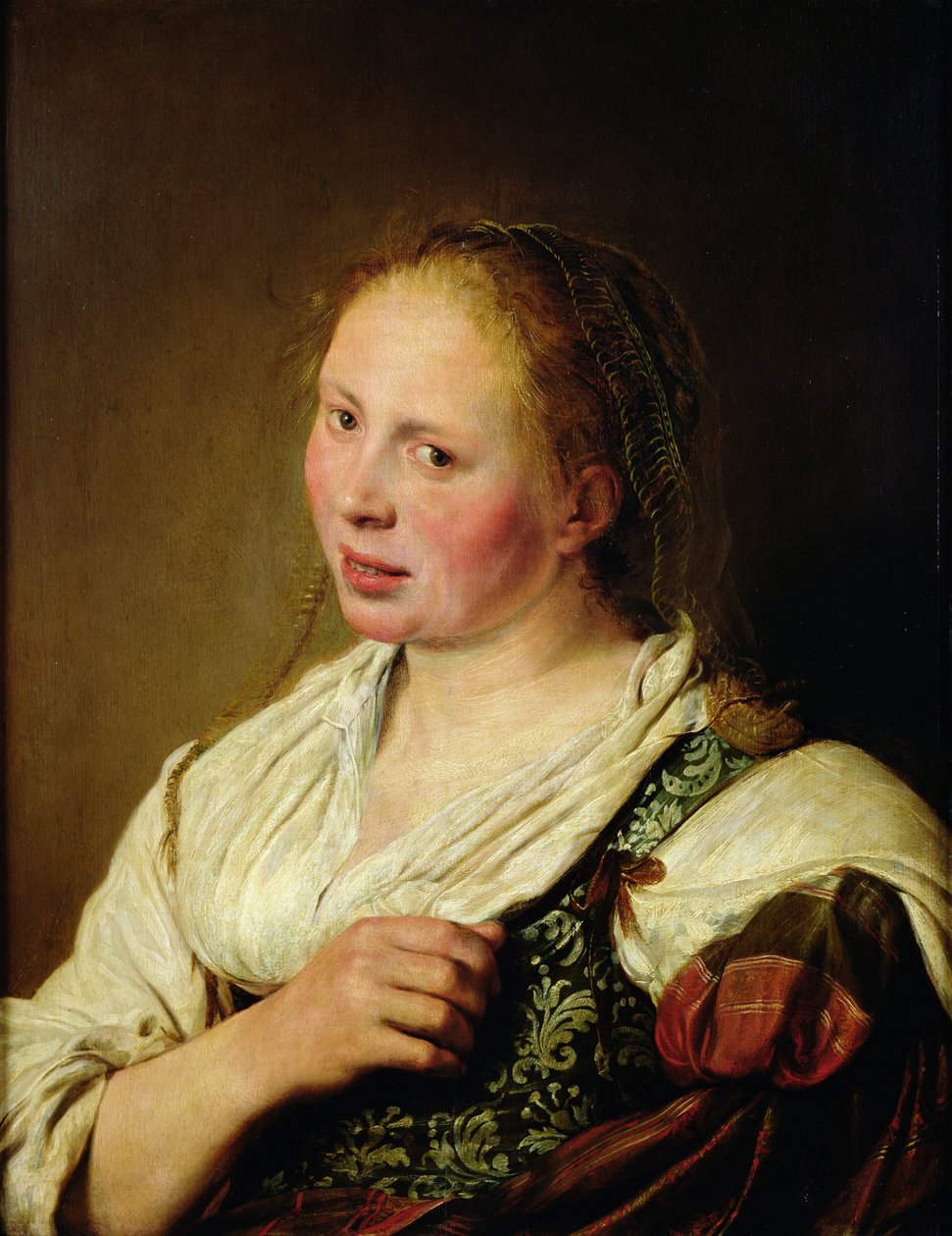 Pintura do jovem camponês de Salomon de Bray