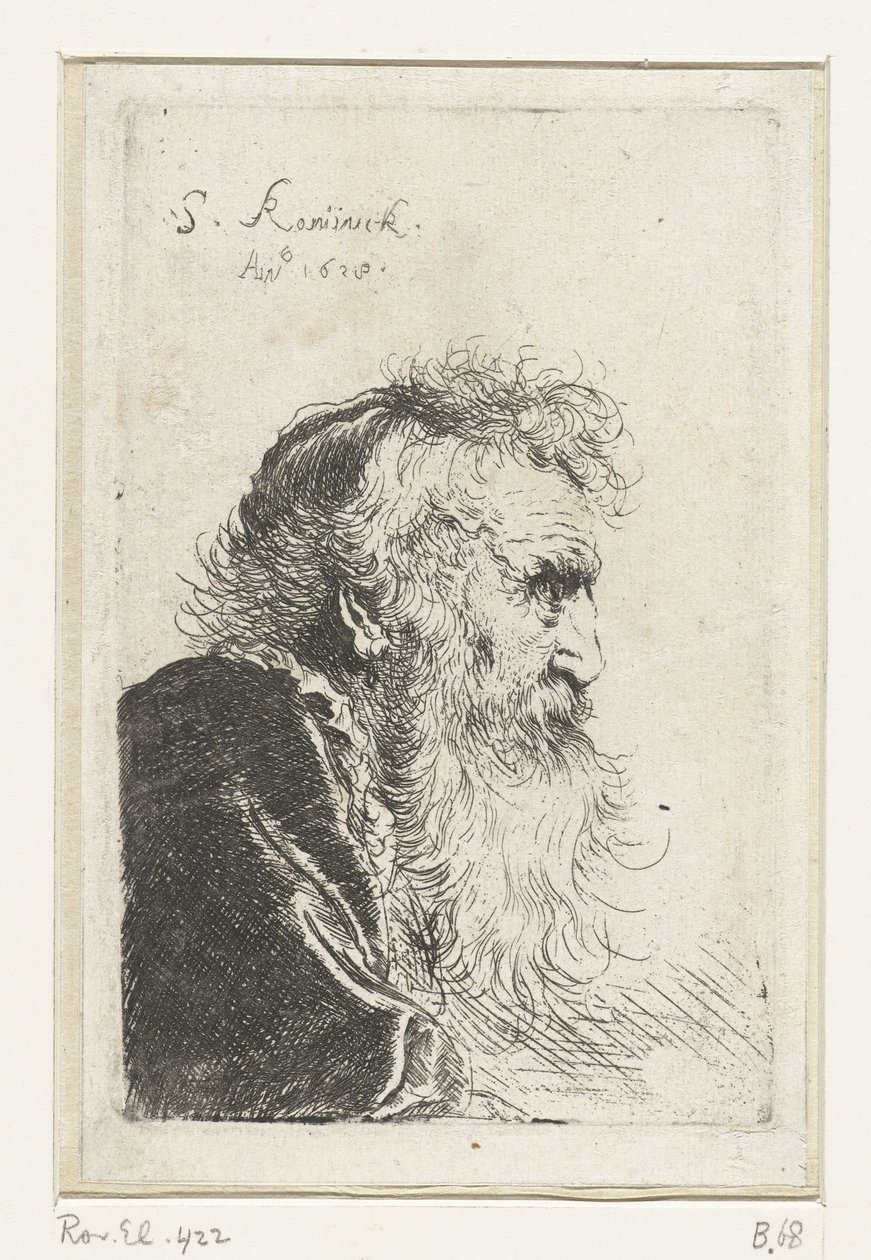 Cabeça, de, um, antigas, homem barbudo, em, perfil de Salomon Koninck