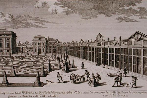 Vista de uma das laranjeiras no jardim do Príncipe de Schwarzenberg, Viena, gravada por Georg-Daniel Heumann (1691-1759), publicada c.1724-37 (gravura) (ver também 170855) de Salomon (after) Kleiner