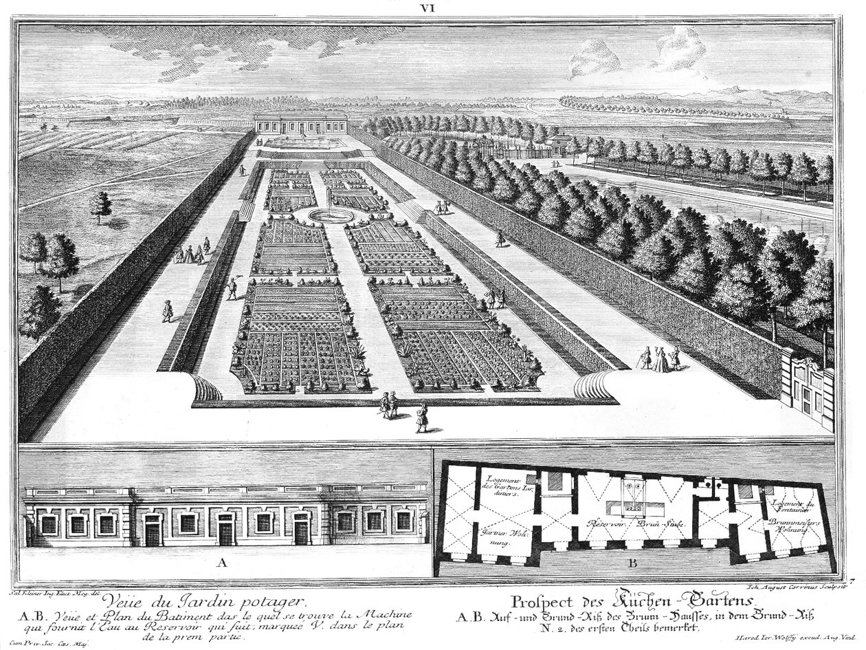 Prospecção da horta, planta baixa e elevação da casa do poço de Salomon Kleiner