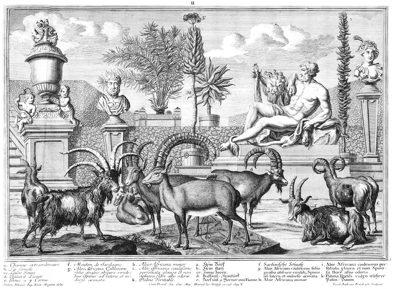 Capricornianos de Salomon Kleiner