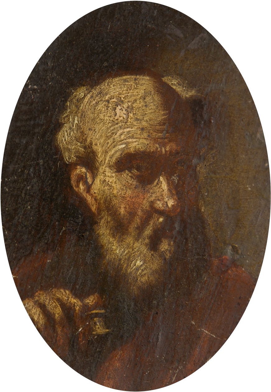 Cabeça de um homem velho de Salvator Rosa