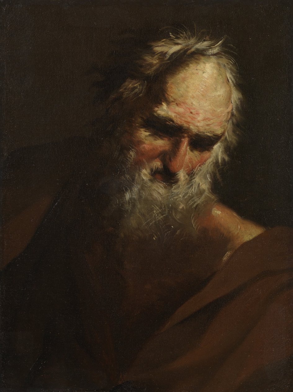 Cabeça de um homem barbudo, c.1640-80 de Salvator Rosa