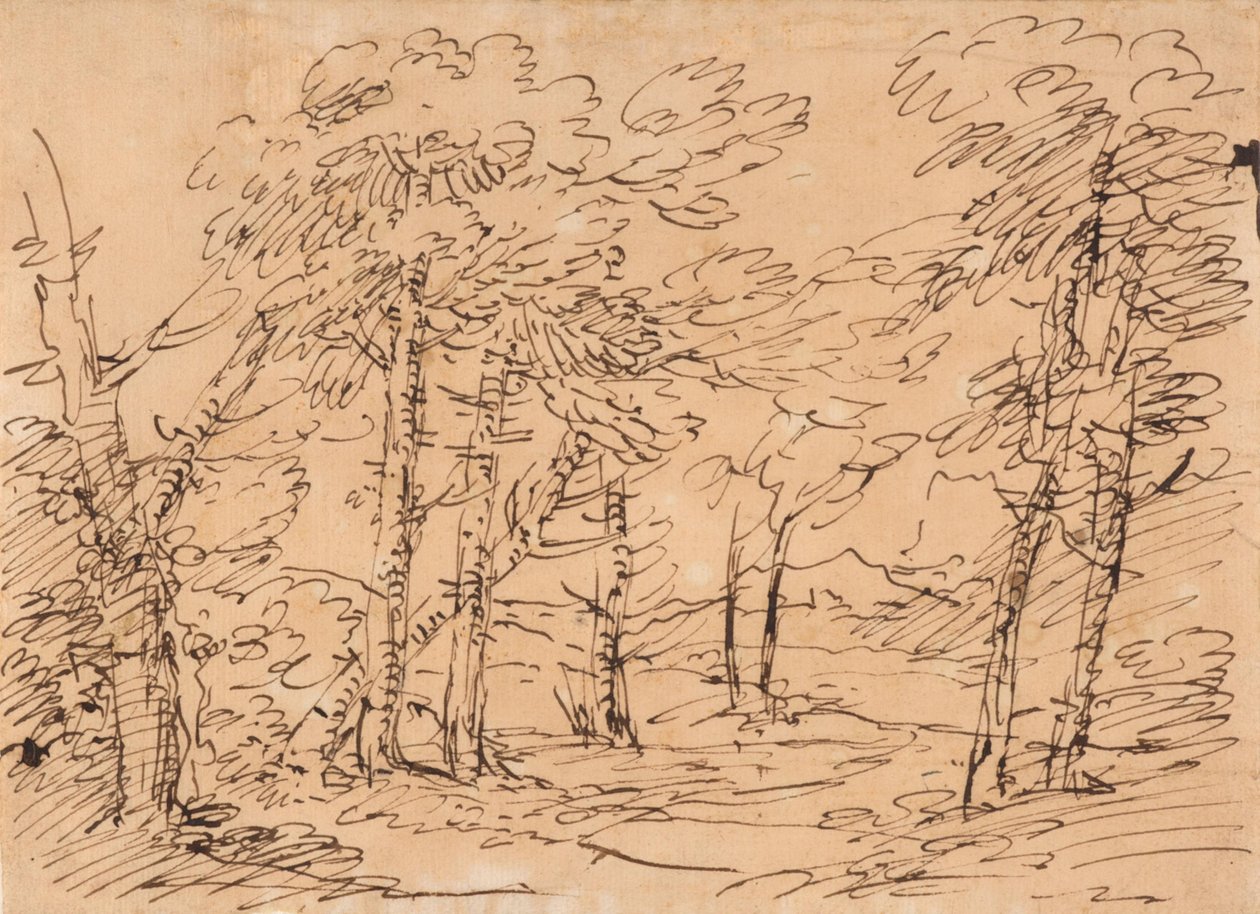 Paisagem com árvores e montanhas ao fundo de Salvator Rosa