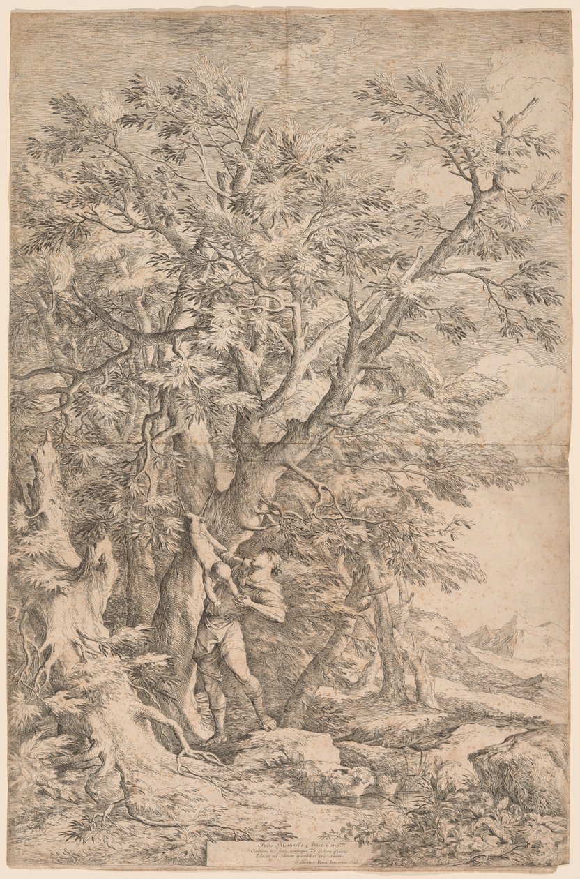 O resgate do Édipo infantil de Salvator Rosa
