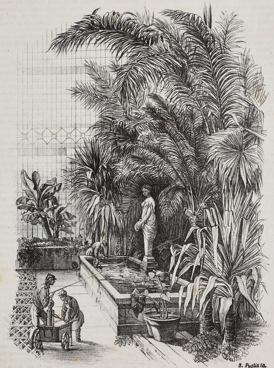 Laocoon e os seus filhos, estátua romana, litografia de Salvatore Puglia de Poliorama Pittoresco, n 1, 13 de Agosto de Salvatore Puglia