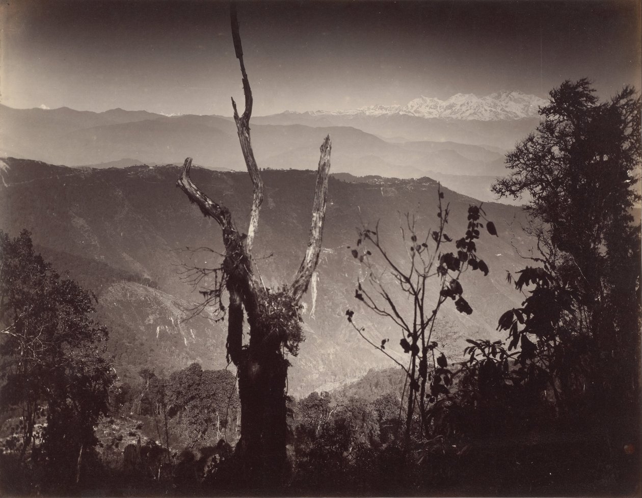(Vista do Senehal) de Samuel Bourne