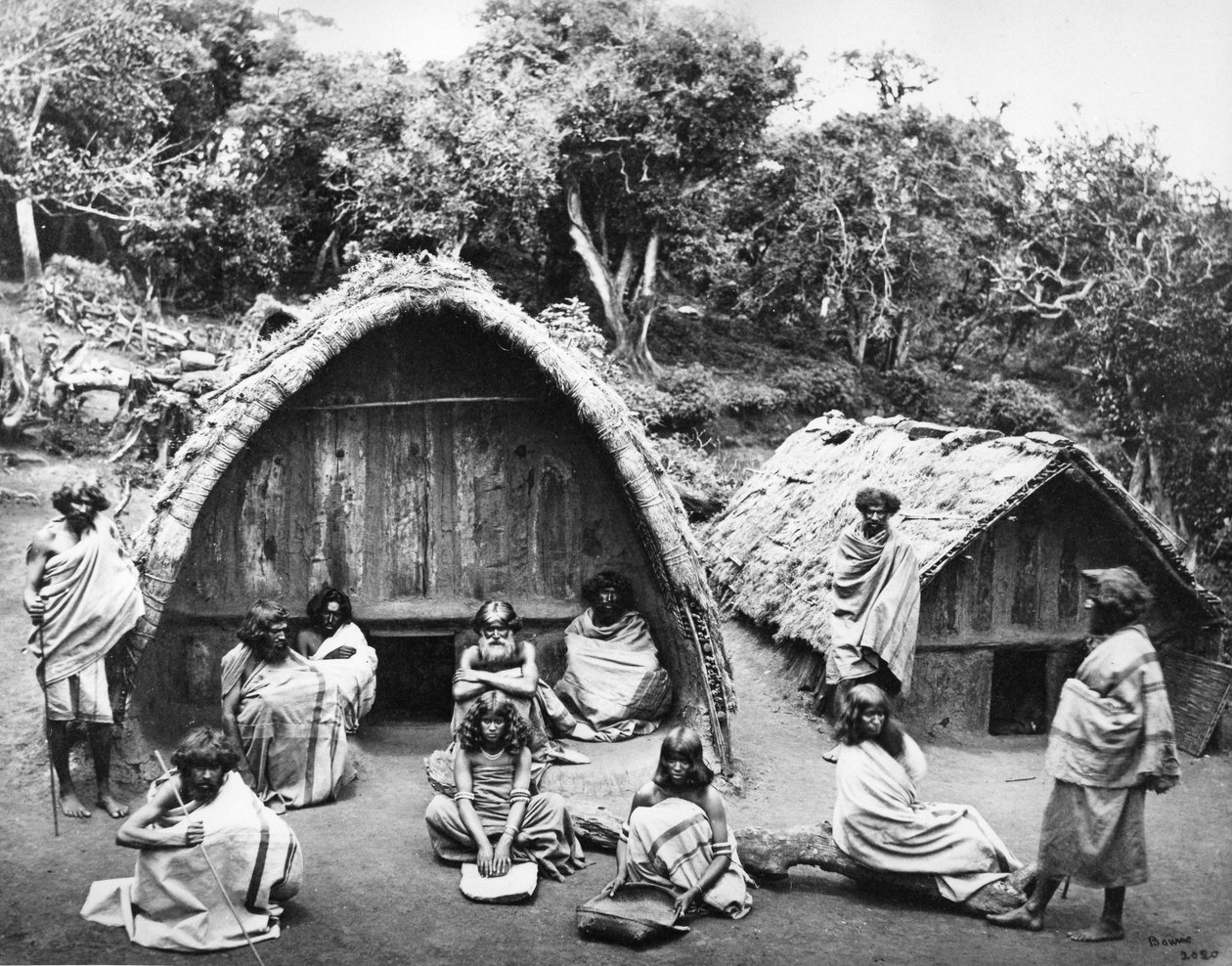 A Toda Mund em Ootacamund, c.1865 de Samuel Bourne