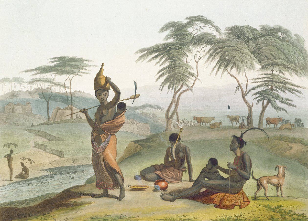 Boosh Wannahs, prato 8 de &39;African Scenery and Animals&39;, gravado pelo artista, 1804 (aquatint) de Samuel Daniell