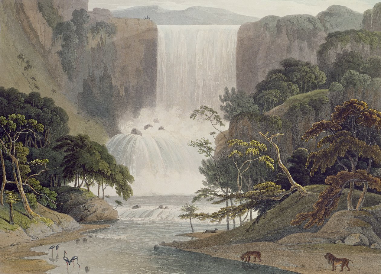 Cascata em Sneuwberg, prato 25 de &39;African Scenery and Animals&39;, gravado pelo artista, 1805 (aquatinta colorida) de Samuel Daniell