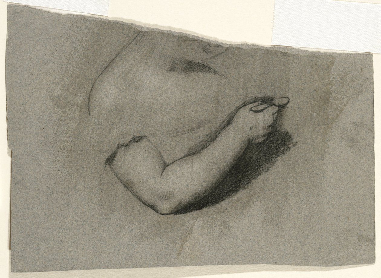 Estudo para um retrato de Mary Hone, 1824 (carvão e giz branco em papel de cabra cinza-marrom) de Samuel Finley Breese Morse