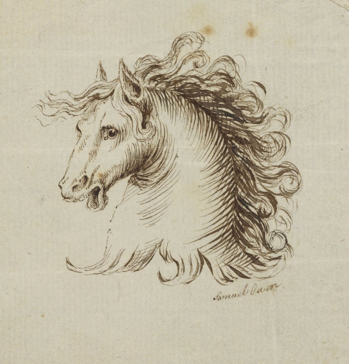 (Cabeça de um cavalo) de Samuel H. Owen