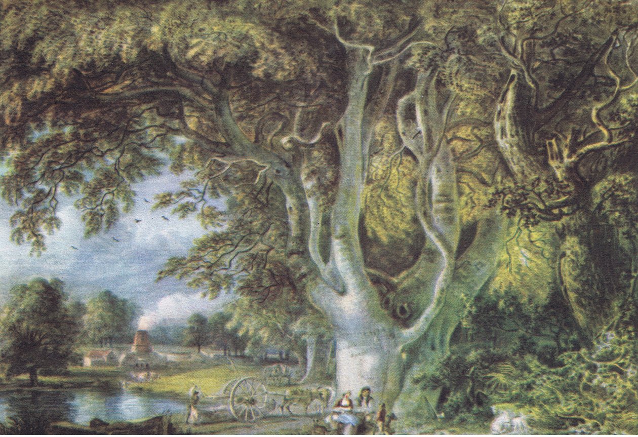 Carvalhos, Shoreham, Kent, Nature in Britain publicado por Collins, 1946 de Samuel Palmer