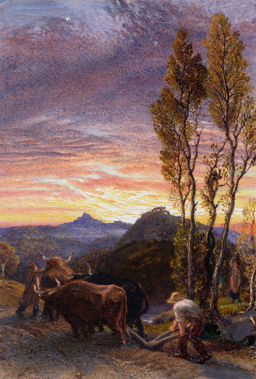 Bois arando ao pôr do sol de Samuel Palmer