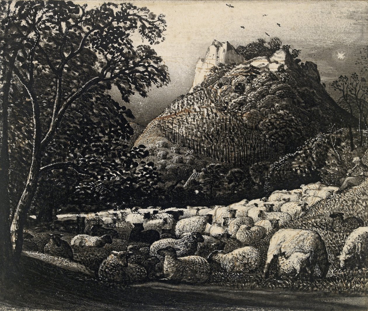 The Flock and the Star (caneta e pincel em tinta sobre lápis e tinta) de Samuel Palmer