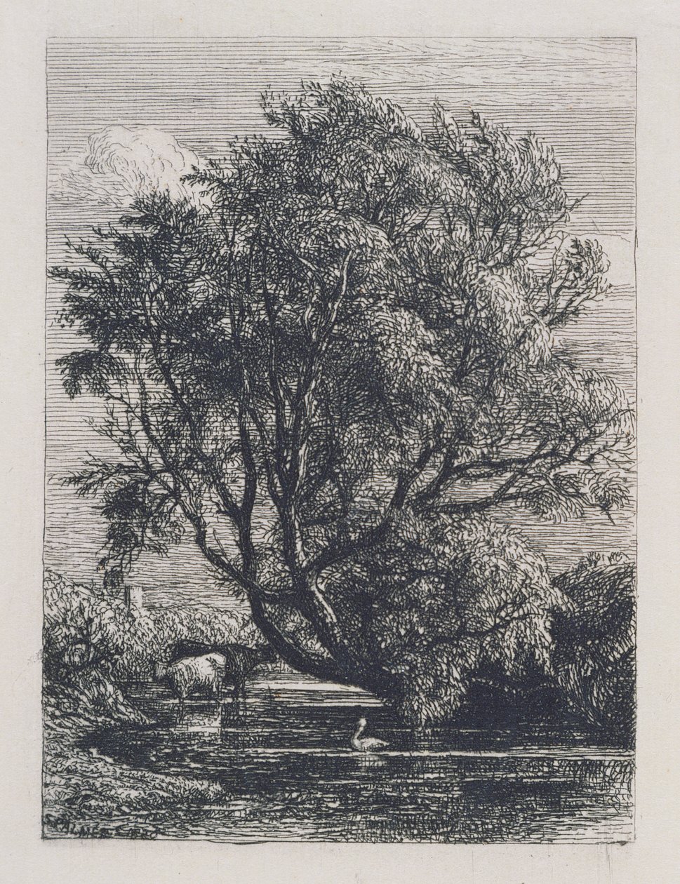 O salgueiro de Samuel Palmer