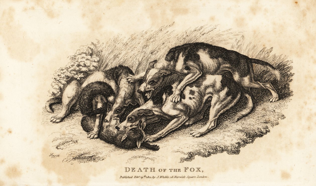 A Morte da Raposa de Samuel (after) Howitt