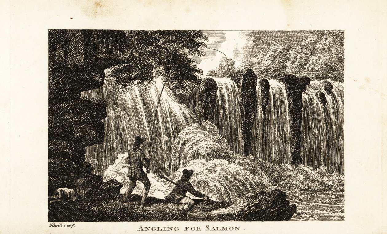 Pescador que pesca salmão nas margens de um rio perto de uma cachoeira de Samuel (after) Howitt