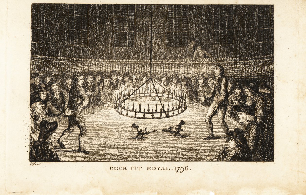 Jogadores que assistem a uma luta de galos à luz de velas no Cock Pit Royal, St. de Samuel (after) Howitt
