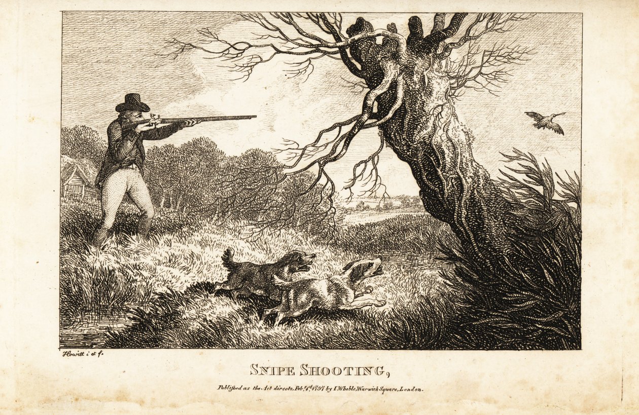 Caçador com mosquete e spaniels à caça de narcejas perto de um rio de Samuel (after) Howitt