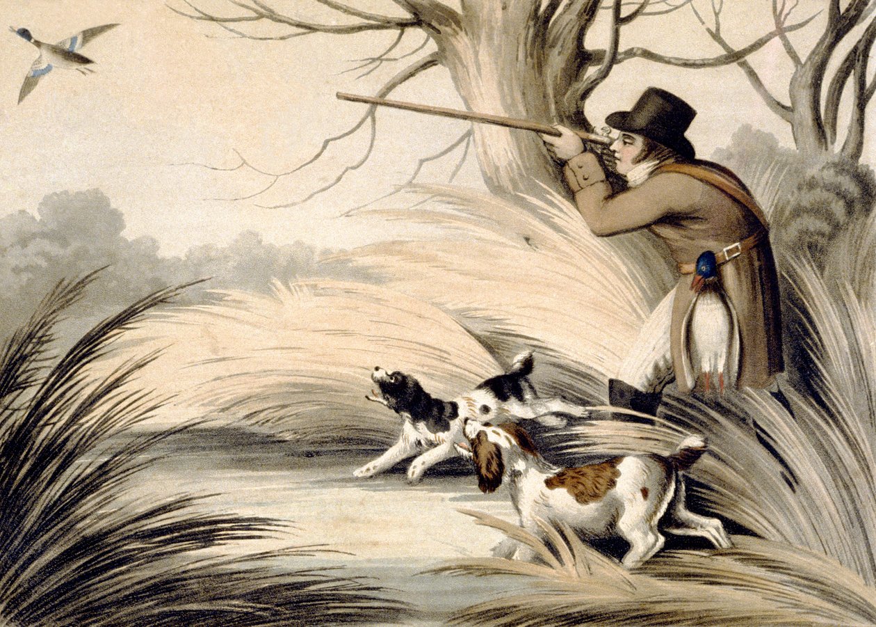 Shooting Duck, gravado por H. Merke, c.1809 (cor litho) de Samuel (after) Howitt