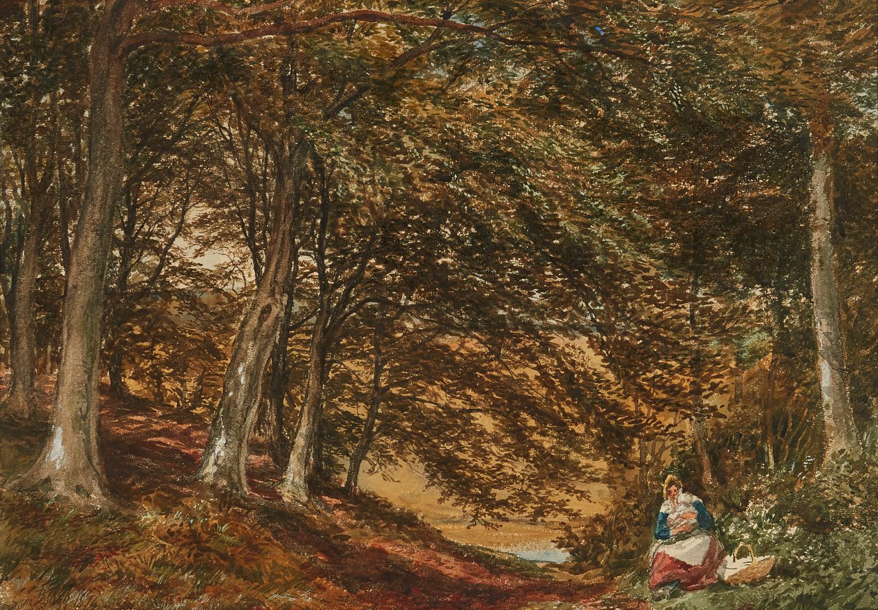 Piquenique na Floresta (aquarela) de Samuel Bough