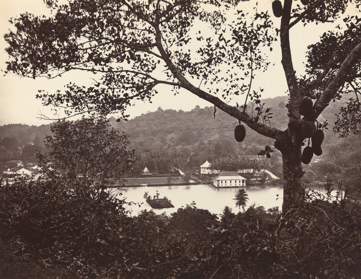 A Peep from Upper Lake Road mostrando Templo e Ilha com Parque - árvore frutífera em primeiro plano de Samuel Bourne