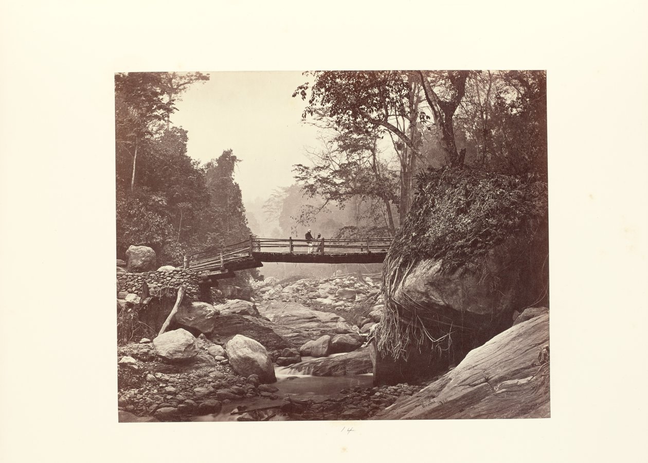 Darjeeling; ponte pitoresca sobre o Rungnoo abaixo de Ging de Samuel Bourne