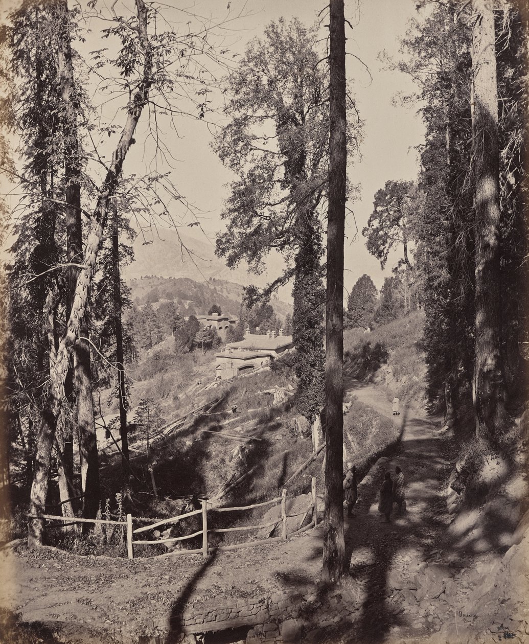 Murree. Uma estação de montanha nos Himalaias, vista através da floresta de Samuel Bourne