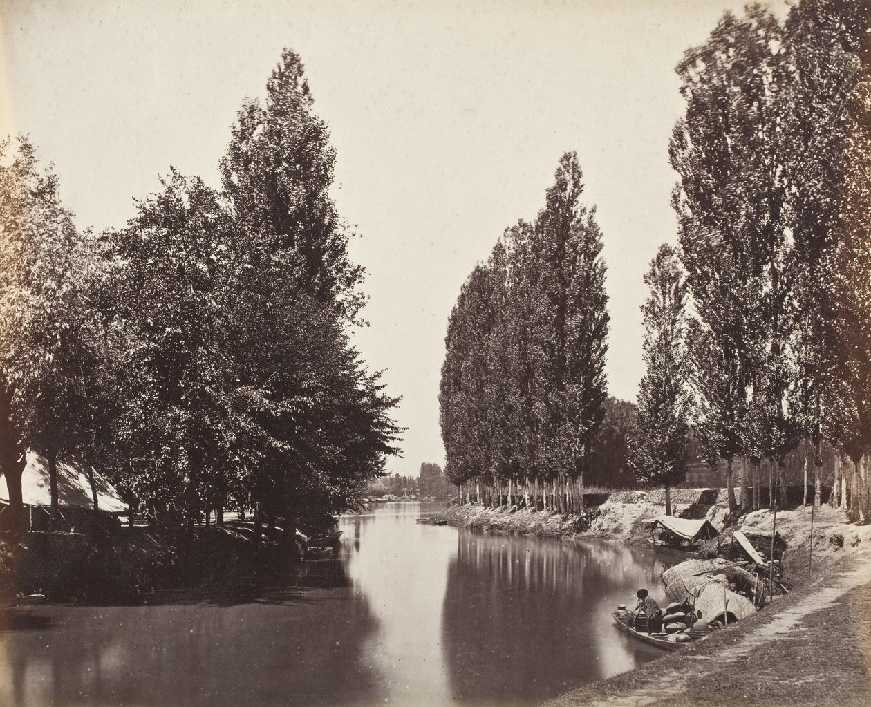 Rio com árvores (Índia) de Samuel Bourne
