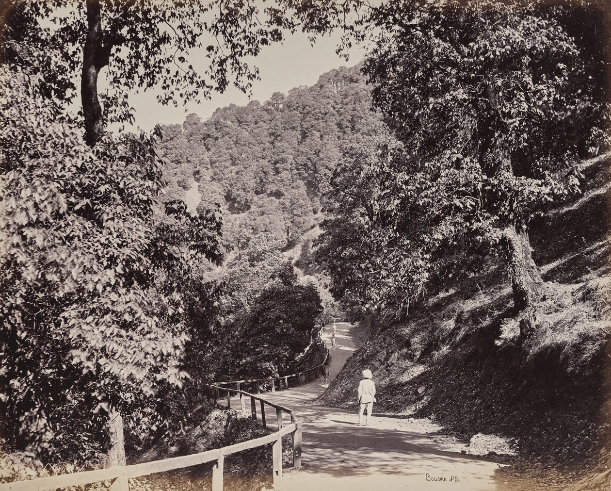 Shimla. A alameda perto de Rabq Lodge de Samuel Bourne