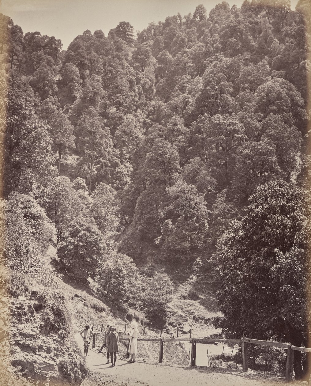 Shimla. Vista para norte do monte Jakko de Samuel Bourne