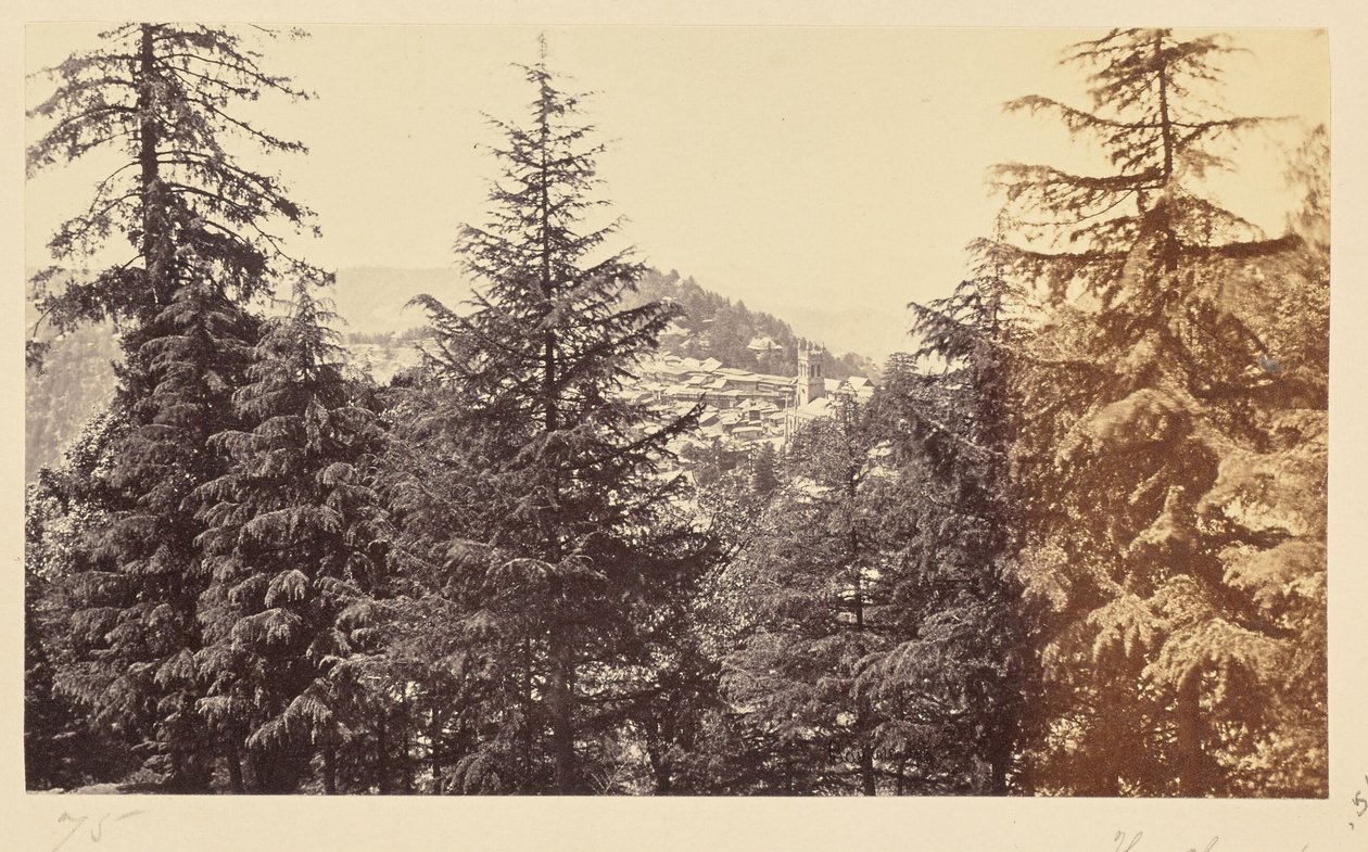 Simla; A igreja através das árvores, de Jakko de Samuel Bourne