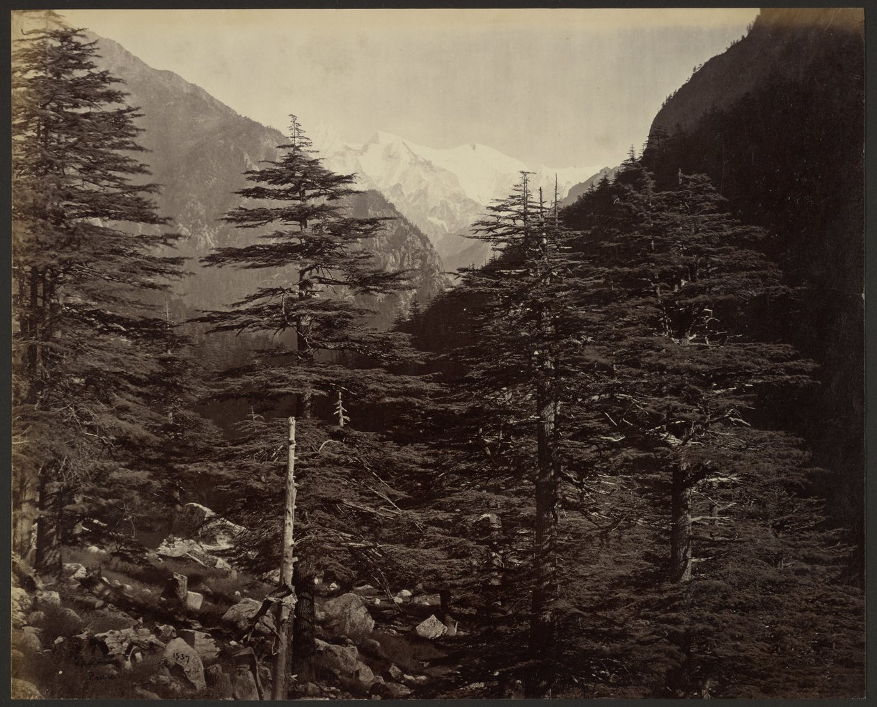 Picos nevados perto de Gangotri, de Bhairamghati de Samuel Bourne