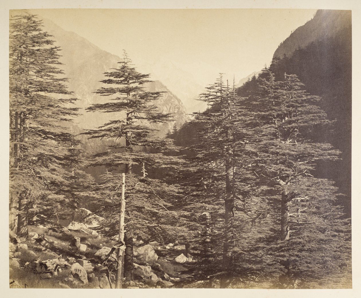 Picos de neve perto de Gangootri a partir de Bhairamghati. Fotógrafo: Bourne, Samuel Album de fotografias da Índia, principalmente por Samuel Bourne1866 de Samuel Bourne