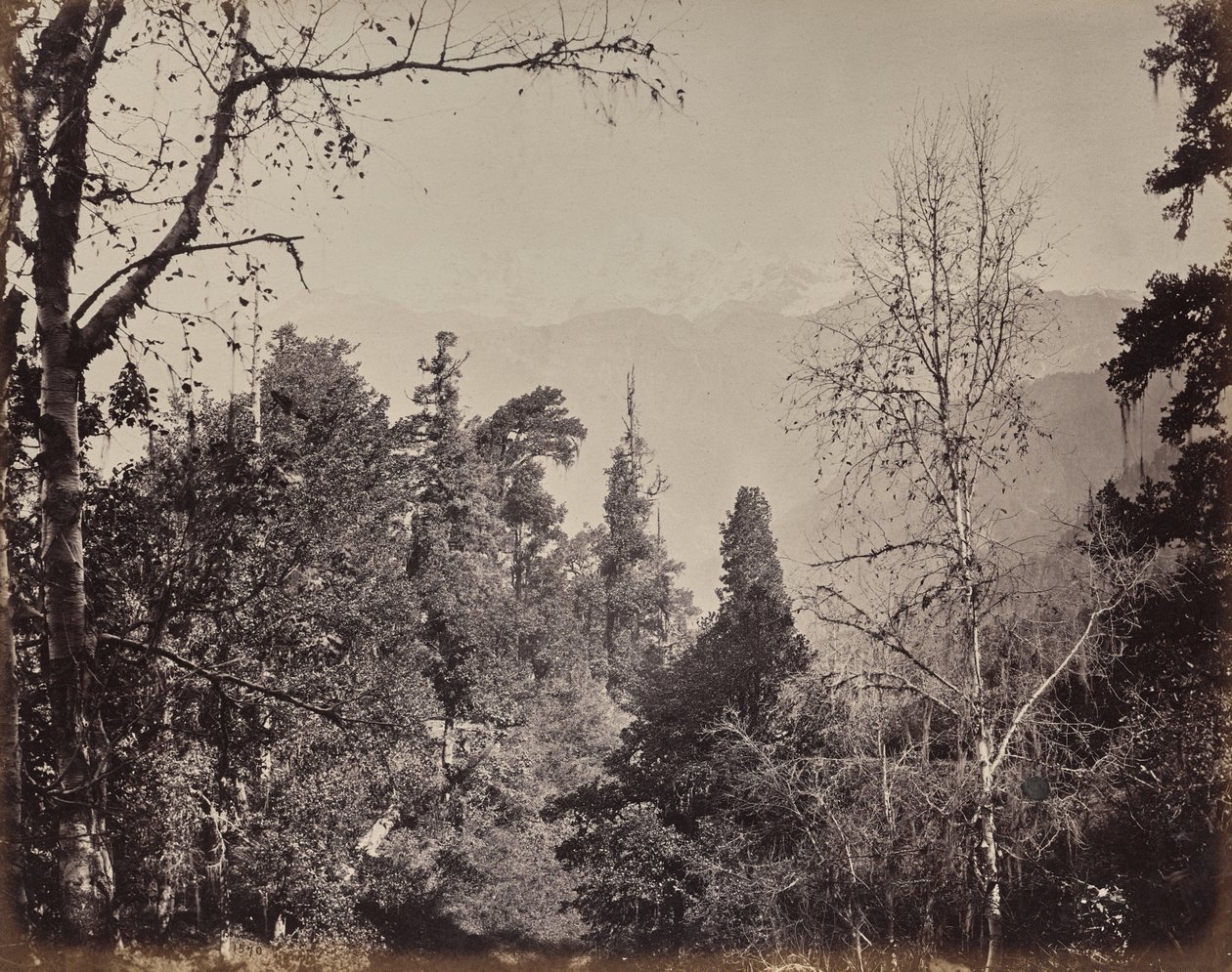 O Alto Himalaia. Vista do monte Bunderpoonch com o pico Jumnootri, 20,458 acima do nível do mar de Samuel Bourne