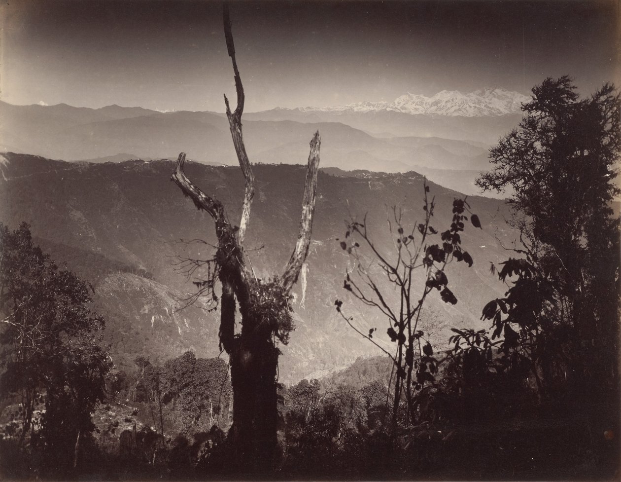 Vista de Senchal de Samuel Bourne