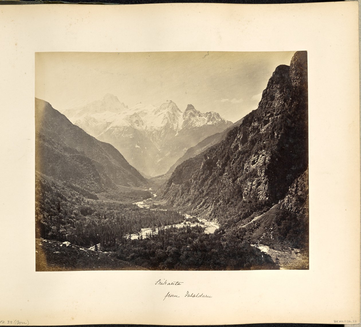 Vale arborizado de Fulaldaru, com os picos de Srikanta ao longe de Samuel Bourne