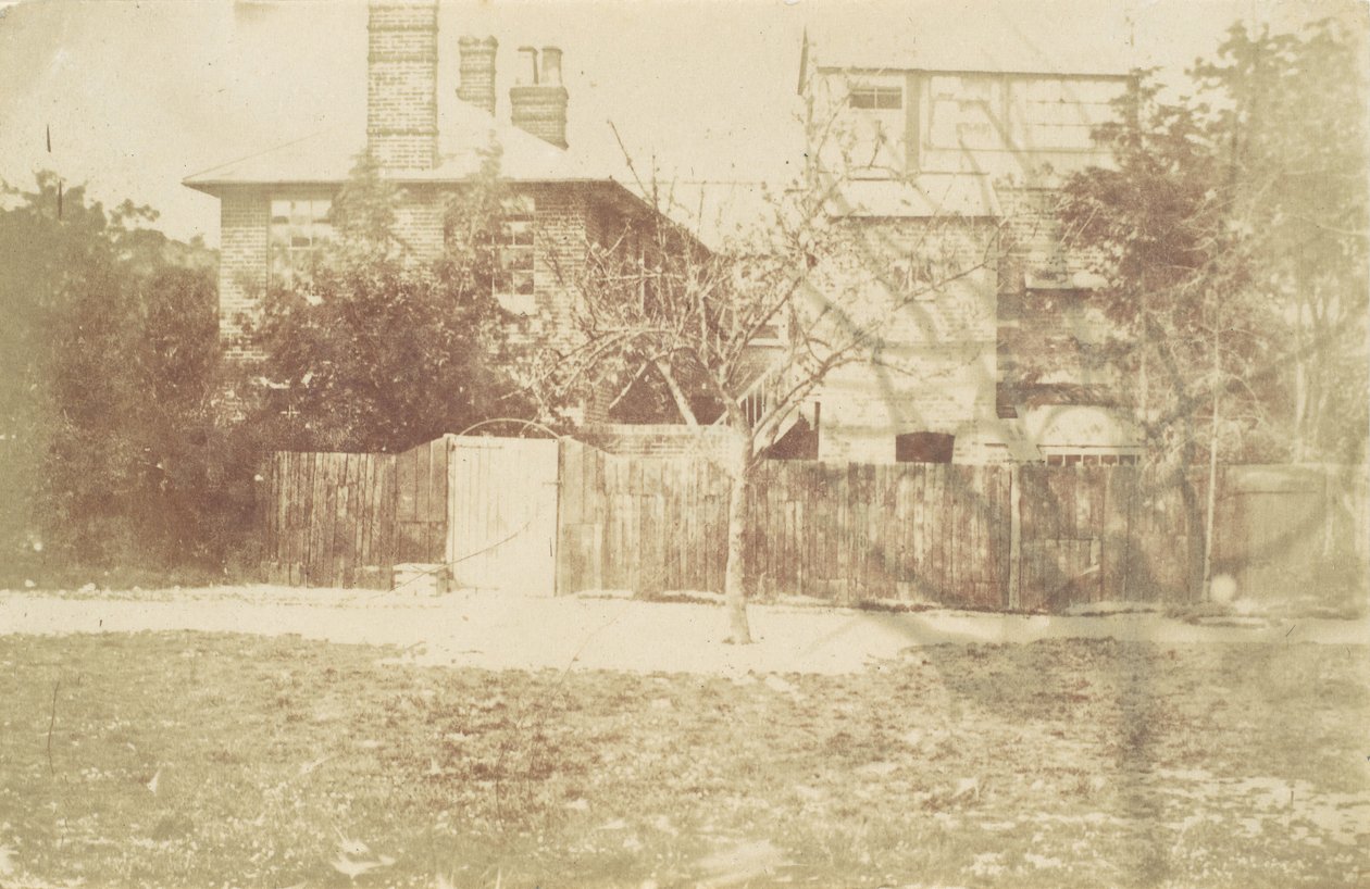 Árvore em Yard, 1850s. de Samuel Buckle