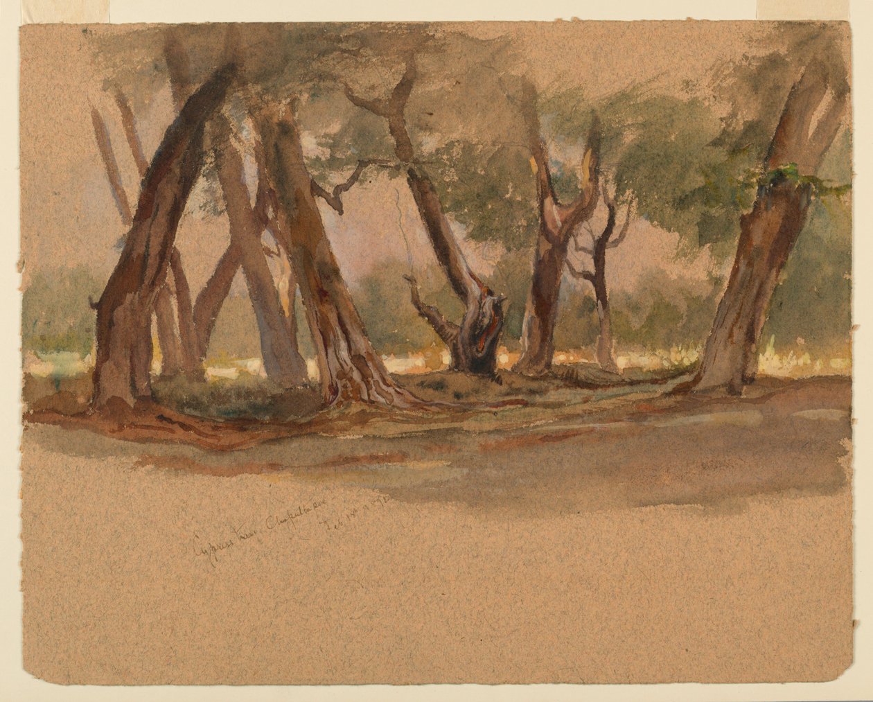 Ciprestes, Chapultepec, México de Samuel Colman