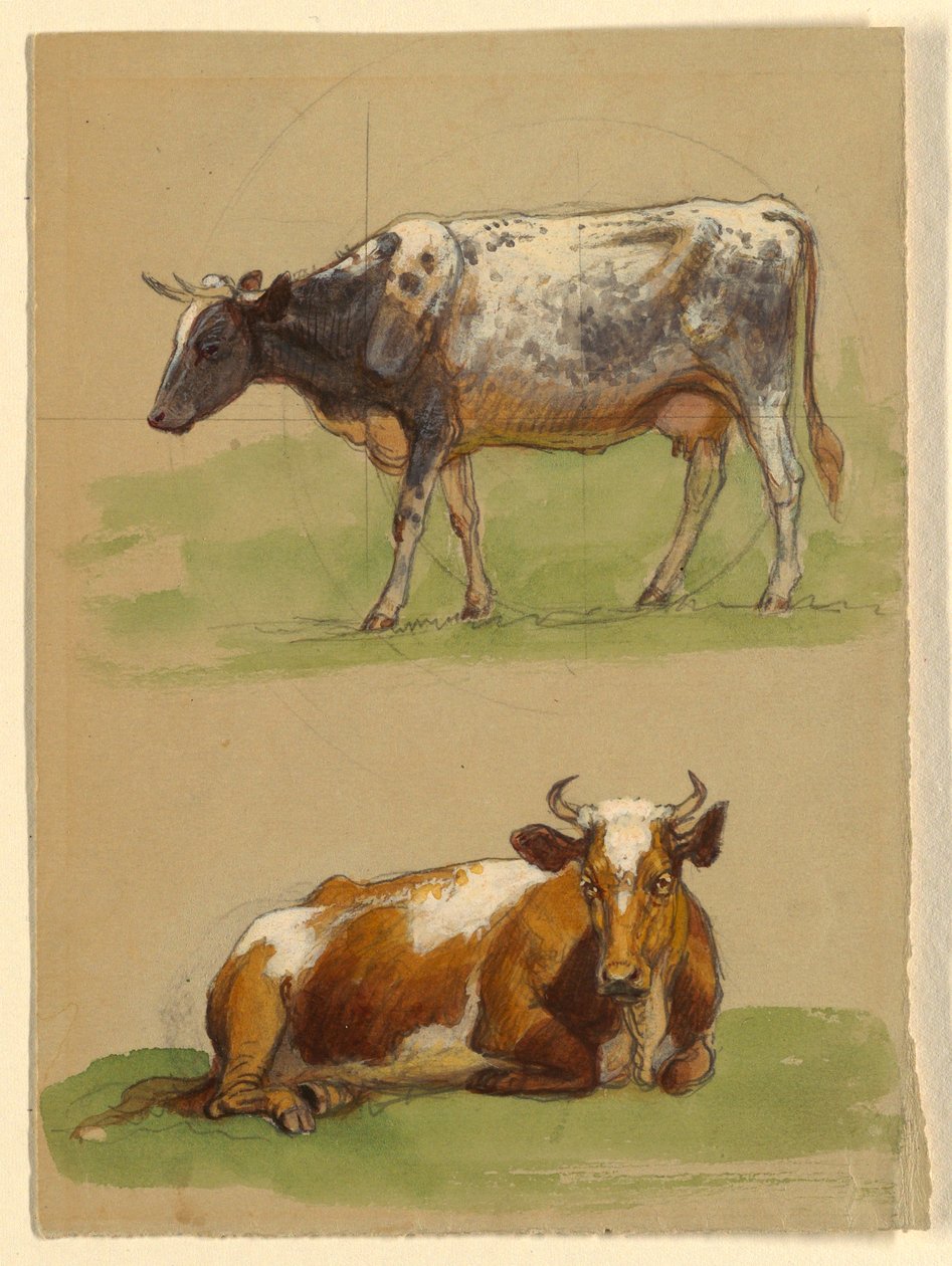 Desenho, Gado, uma vaca a andar e uma vaca agachada, 1875-80 de Samuel Colman
