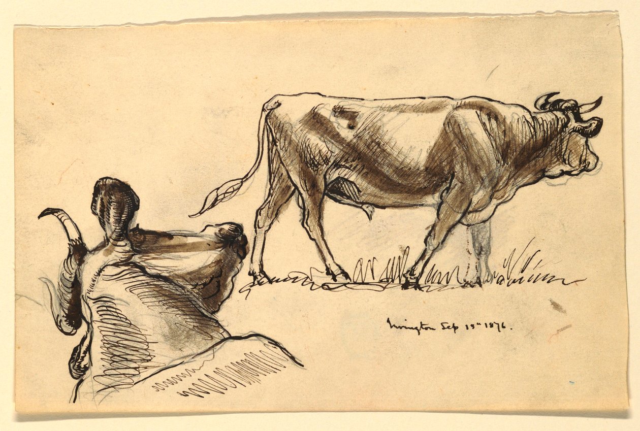 Desenho, Esboços. Gado, Irvington, setembro de 1876 de Samuel Colman