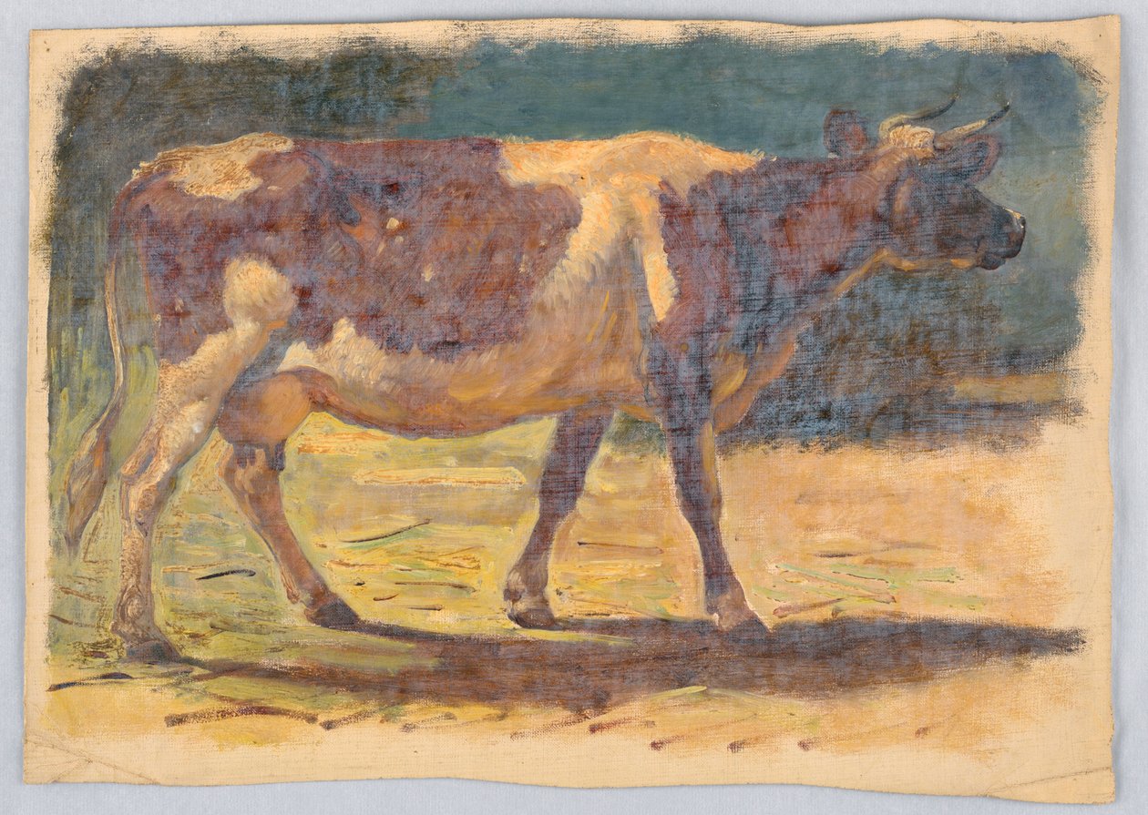 Desenho, Estudos. Vacas, agosto de 1876 de Samuel Colman