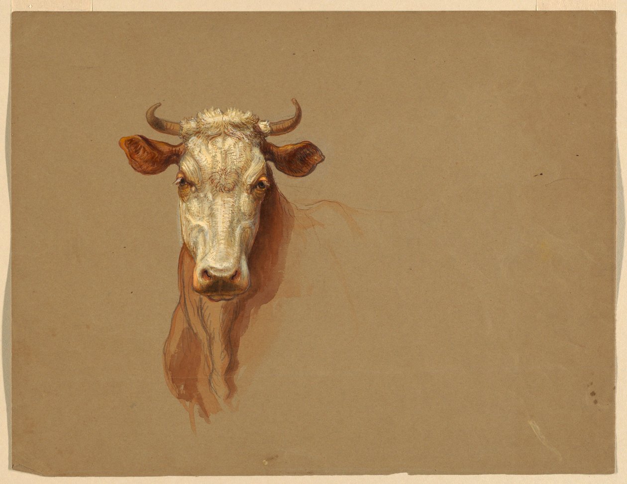 Desenho, Dois estudos.  Gado, 1876 de Samuel Colman